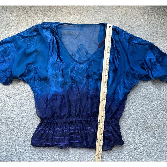 ECI New York Blue Ombré Burnout Silk Velvet Blouse Size 4 Fairycore BohoRomantic - Picture 8 of 8